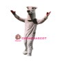Sport Greyhound Mascot Costume