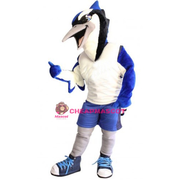 Sport Blue Jay Mascot Costume