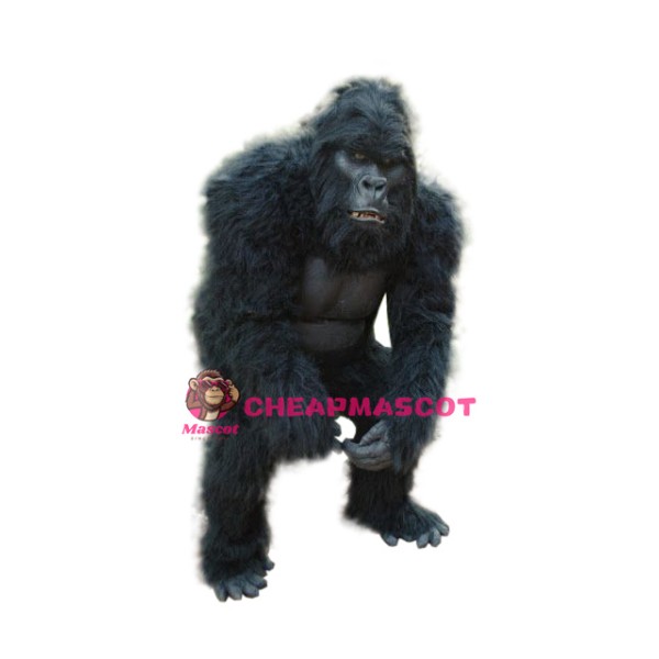 Superb Fierce Gorilla Mascot Costume
