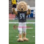 Power University Lion Mascot Costume
