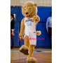 Sport University Lion Mascot Costume
