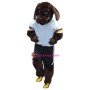 Superb Sport Dog Mascot Costume