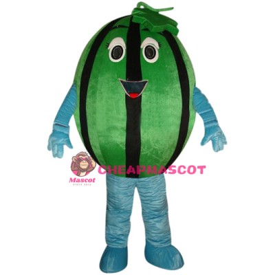 Affordable Watermelon Mascot Costume