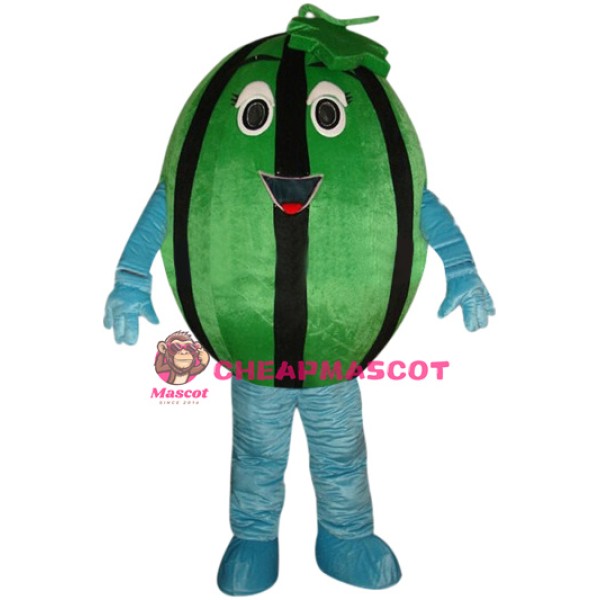 Affordable Watermelon Mascot Costume