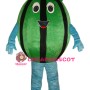 Affordable Watermelon Mascot Costume
