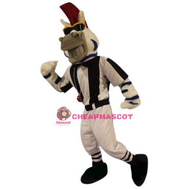 Cool Zebra Mascot Costume