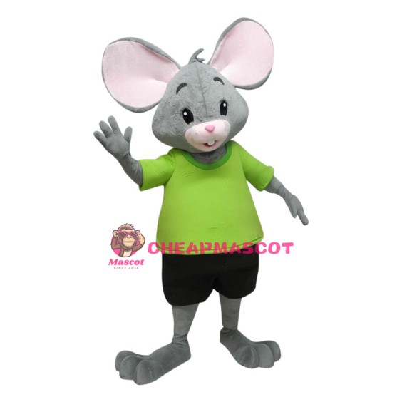 Little Mouse Boy Mascot Costume