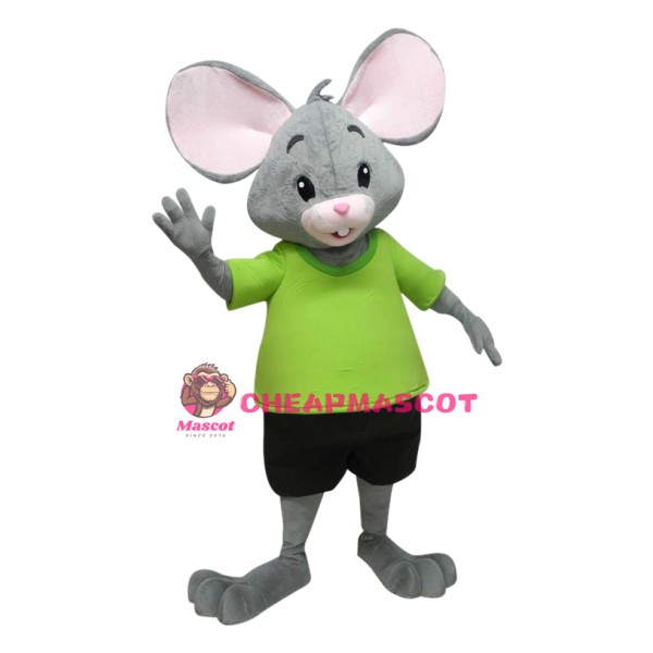Little Mouse Boy Mascot Costume