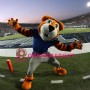 Super Power Sport Tiger Mascot Costume