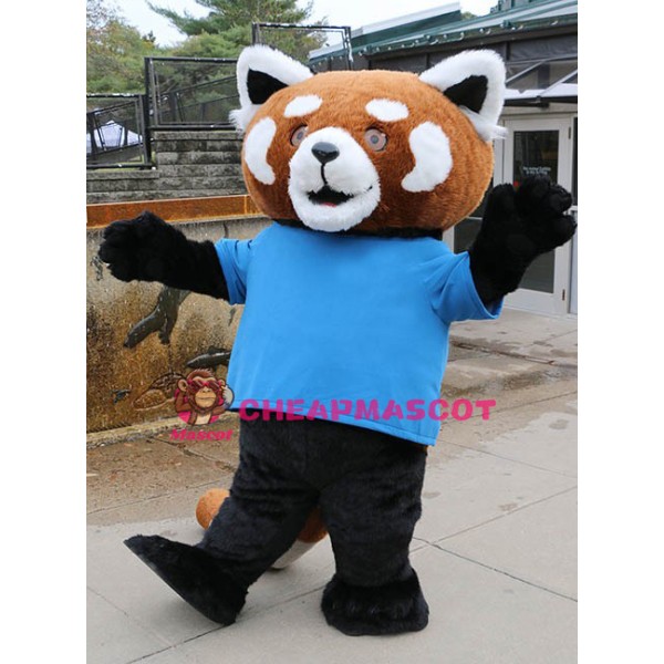 Superb Raccoon Mascot Costume