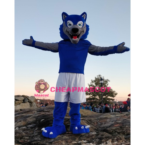 Sport Blue & Grey Wolf Mascot Costume