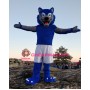 Sport Blue & Grey Wolf Mascot Costume