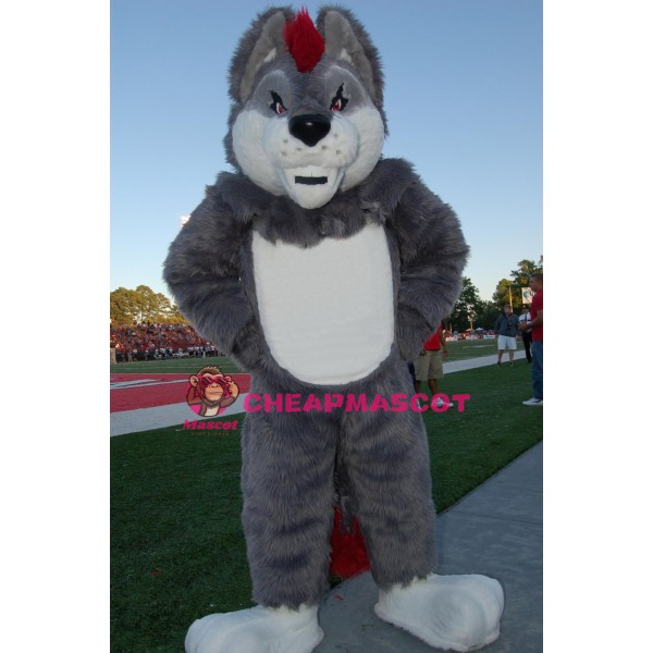 Superb Sport Grey Wolf Mascot Costume