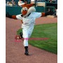 Power Sport Lightweight Fox Mascot Costume