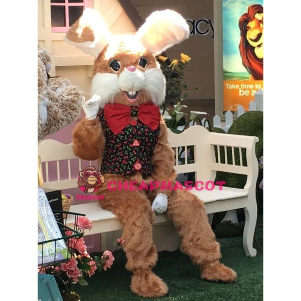 Friendly Easter Bunny Mascot Costume