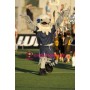 Super Power College Eagle Mascot Costume