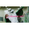 Power College Hawk Mascot Costume
