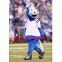 Cute Blue Horse Mascot Costume