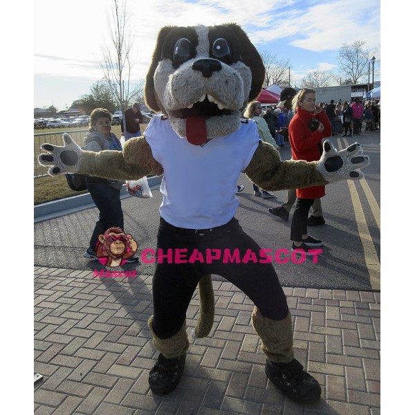 Power Sport College Dog Mascot Costume