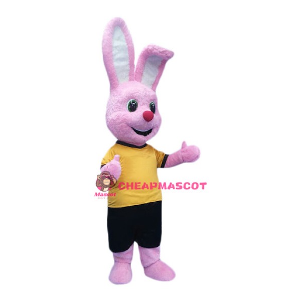 Happy Pink Rabbit Mascot Costume