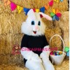 Young Easter Bunny Mascot Costume