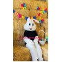 Young Easter Bunny Mascot Costume