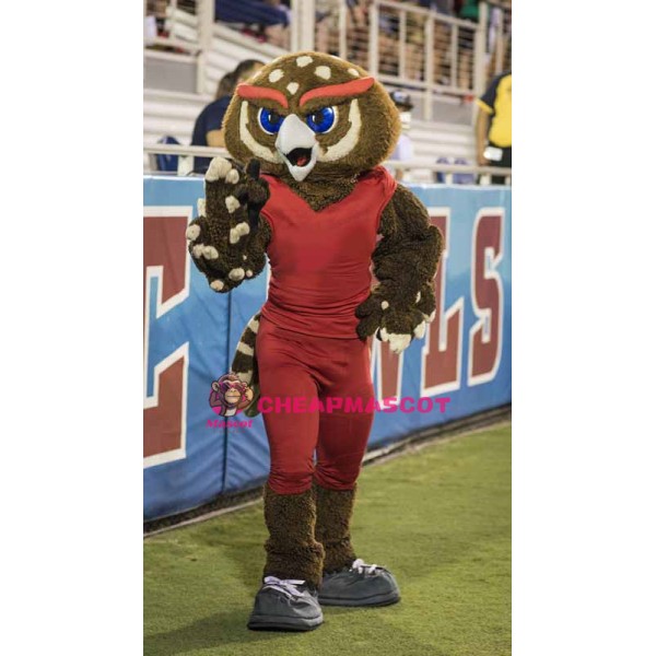 College Sport Owl Mascot Costume
