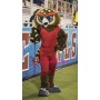 College Sport Owl Mascot Costume