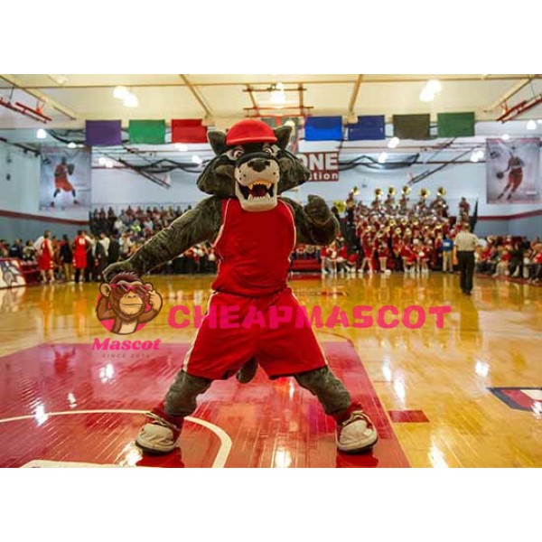 Superb College Sport Wolf Mascot Costume