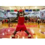 Superb College Sport Wolf Mascot Costume