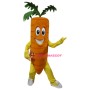 Superb Carrot Mascot Costume