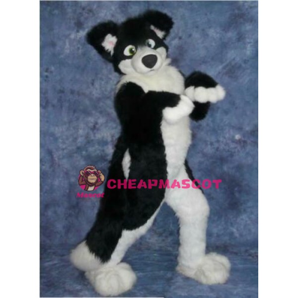 Black Border Collie Husky Dog Mascot Costume