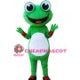 Cartoon Frog Mascot Costume