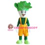 Happy Lightweight Vegetable Mascot Costume