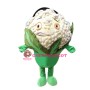 Happy Lightweight Cauliflower Mascot Costume