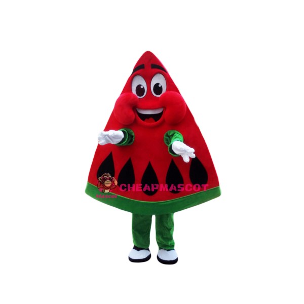 Happy Lightweight Watermelon Mascot Costume