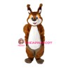 Super Cute Squirrel Mascot Costume