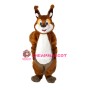 Super Cute Squirrel Mascot Costume
