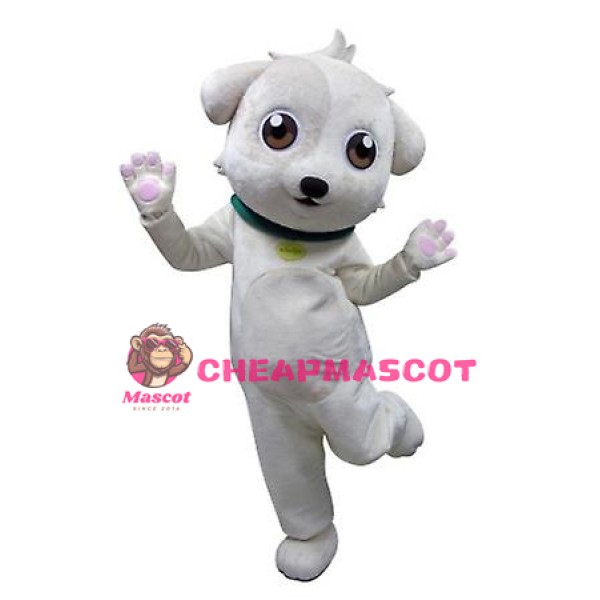 Super Cute Lightweight White Dog Mascot Costume