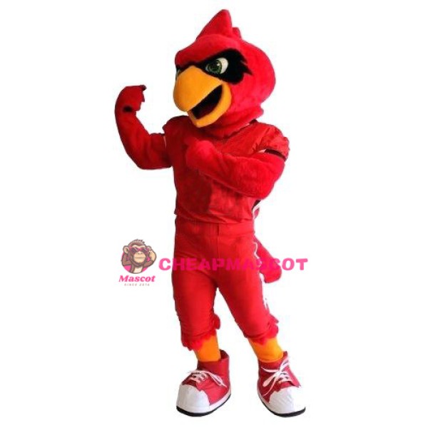 Sport Cardinal Bird Mascot Costume