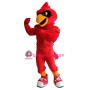 Sport Cardinal Bird Mascot Costume