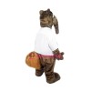 College Anteater Mascot Costume