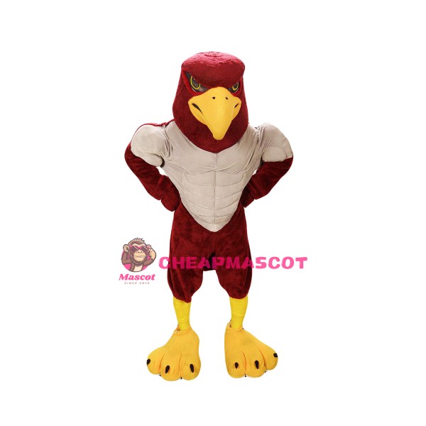 Power Falcon Mascot Costume
