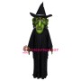 Wicked Witch Mascot Costume