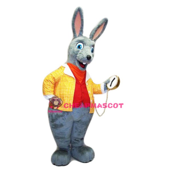 Easter Rabbit Mascot Costume