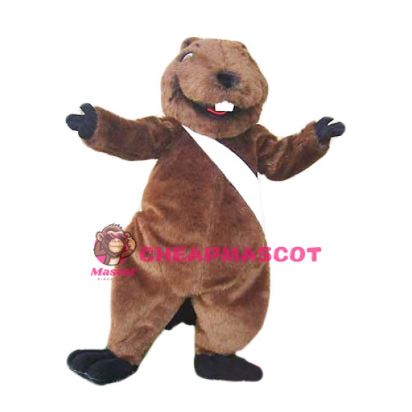 Professional Lightweight Beaver Mascot Costume