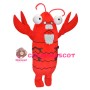 Old Lobster Mascot Costume