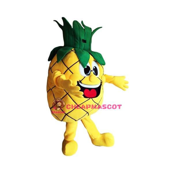 Pineapple Mascot Costume