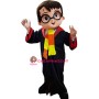 Wizard Mascot Costume
