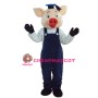 School Pig Mascot Costumes